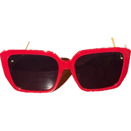 Dior 30Montaigne Sunglasses