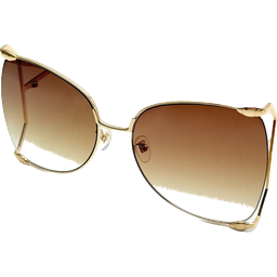 Gucci Oversized Sunglasses